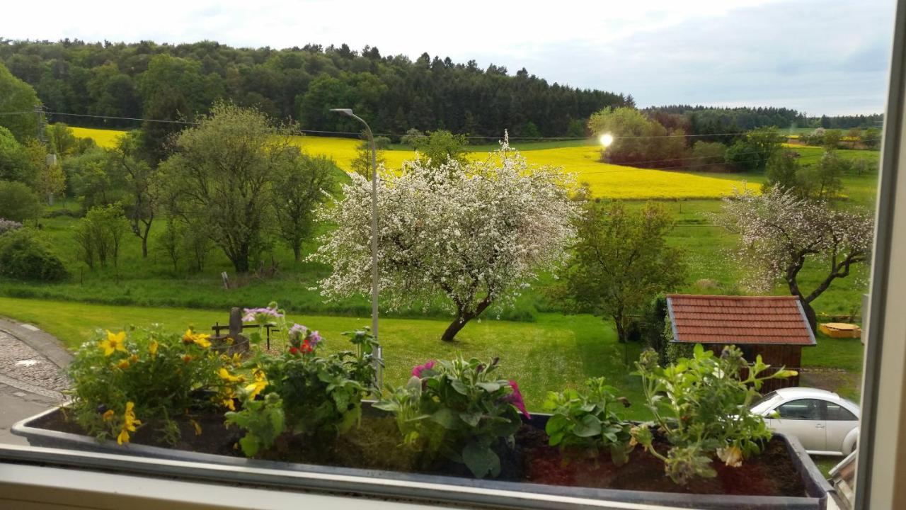 Haus Kunterbunt Apartment Mehlingen Екстериор снимка